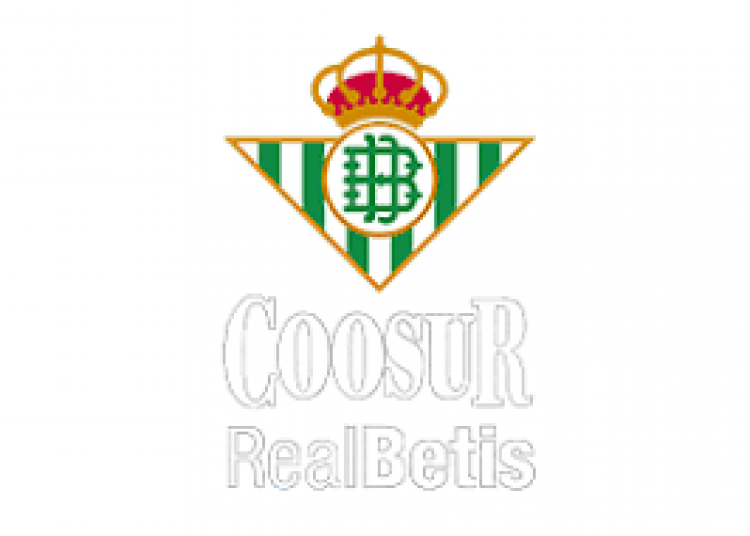Club Deportivo Baloncesto Sevilla  