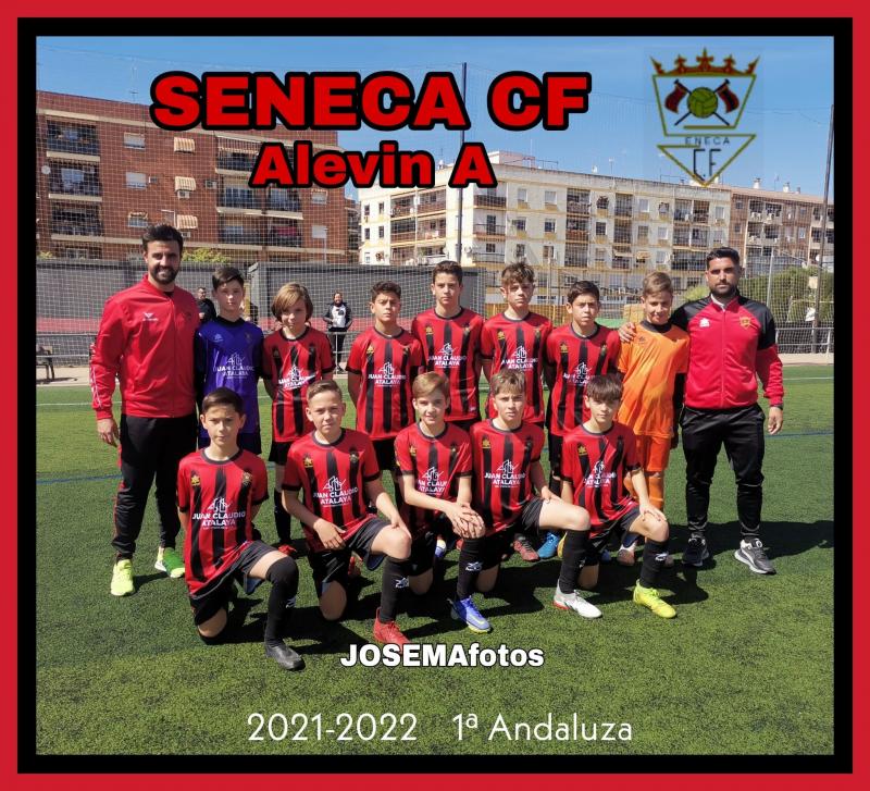 Sneca Club De Ftbol Alevn 