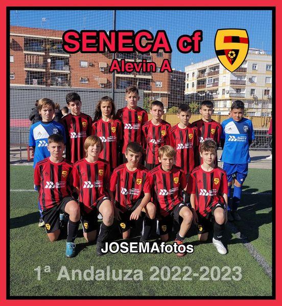 Sneca Club De Ftbol Alevn 