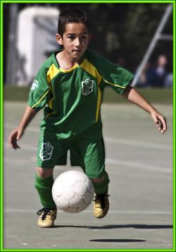 Modesto (Sierra Nevada B) - 2010/2011