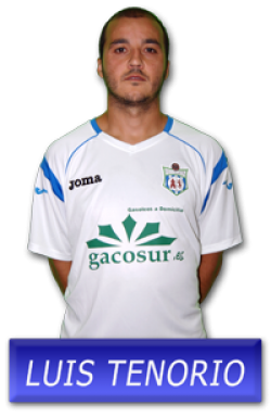 Luis Tenorio (U.D. Villamartn) - 2011/2012