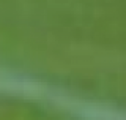 Pepe pinto (U.D. Maracena C) - 2012/2013