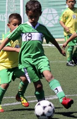 Capi (La Mosca B) - 2012/2013