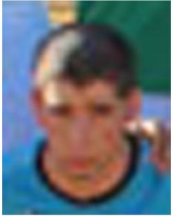 Sergio Navas (R.U.D. La Carlota) - 2012/2013