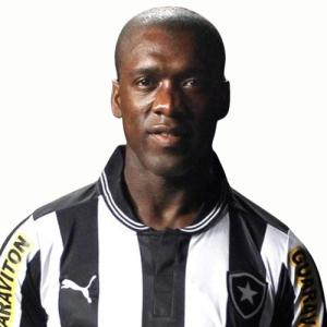 Seedorf (Botafogo F.R.) - 2012/2013