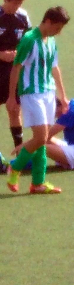 Vargas (UCD La Caada Atl.) - 2012/2013