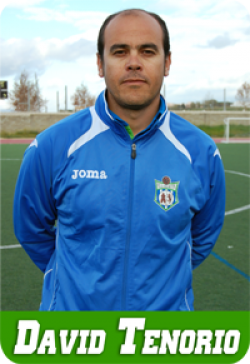 David Tenorio (U.D. Villamartn) - 2012/2013