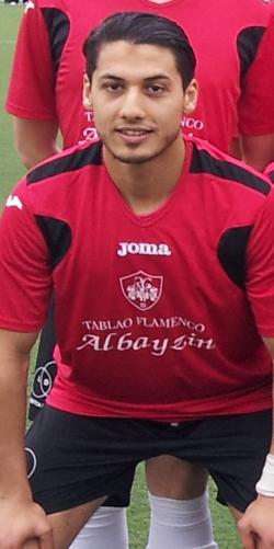 Imad (Reino de Granada) - 2013/2014