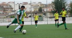 PiNeRo (Pvo. Pinos Puente) - 2013/2014