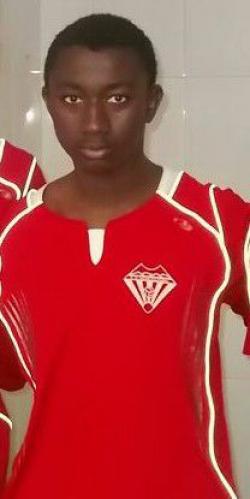 Lamin (Vicar Cultural ) - 2013/2014