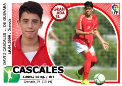 Cascales (Granada 74) - 2014/2015