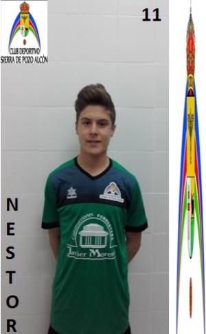 Nestor (Sierra de Pozo Alcn) - 2015/2016