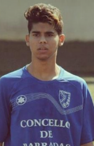 liver (Valenz S.D.) - 2016/2017