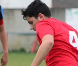 DAVID (C.F. Muxa) - 2016/2017