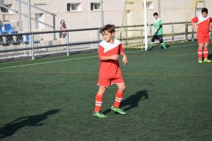 ABEL (Espaol Alquin B) - 2016/2017