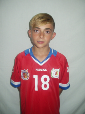 ENRIQUE (C.P. Bailn B) - 2016/2017