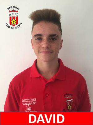 DAVID (Comarca R.Nacimiento) - 2019/2020