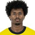 Adeyemi (Borussia Dortmund) - 2023/2024