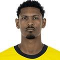 Haller (Borussia Dortmund) - 2023/2024