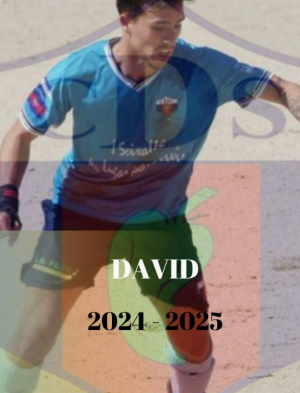 David Martnez (C.D. Seixalbo) - 2024/2025