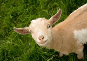 Juanca (Puerto Real C.F.) - 2025/2026