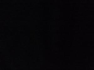 Alexis Diaz Campama  (F.C. Santboi) - 2025/2026