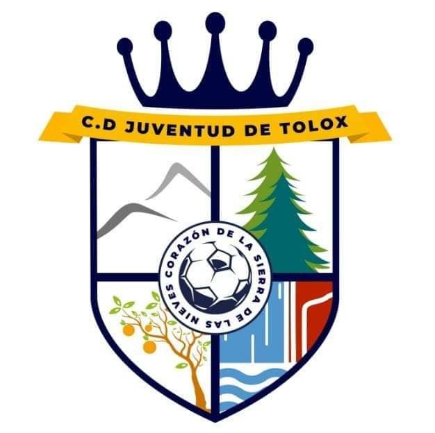 Escudo actual.